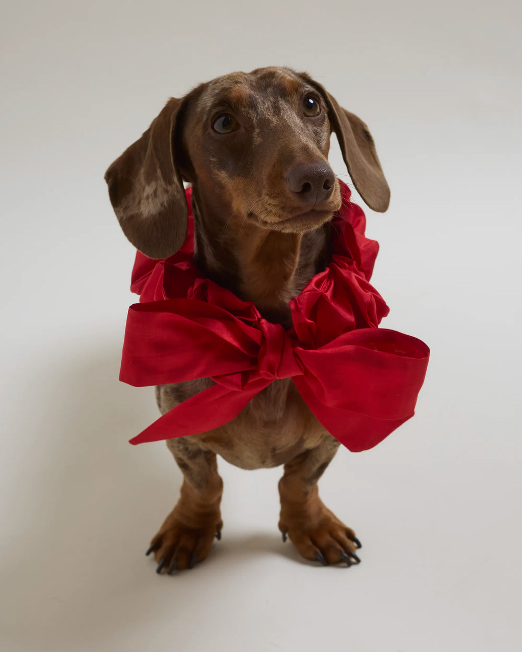 Laipich Bow Scrunchie - Pure Silk